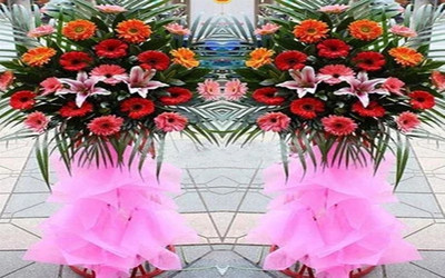 开业花篮粉色棉纸包装带百合单个的价格