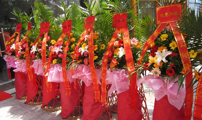 单层开业花篮/一对花篮--四季发财花篮