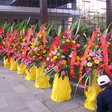 单层开业花篮/一对花篮报价--招财进宝花篮